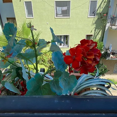 Casa Maurizio In Centro Di Diano Apartament *